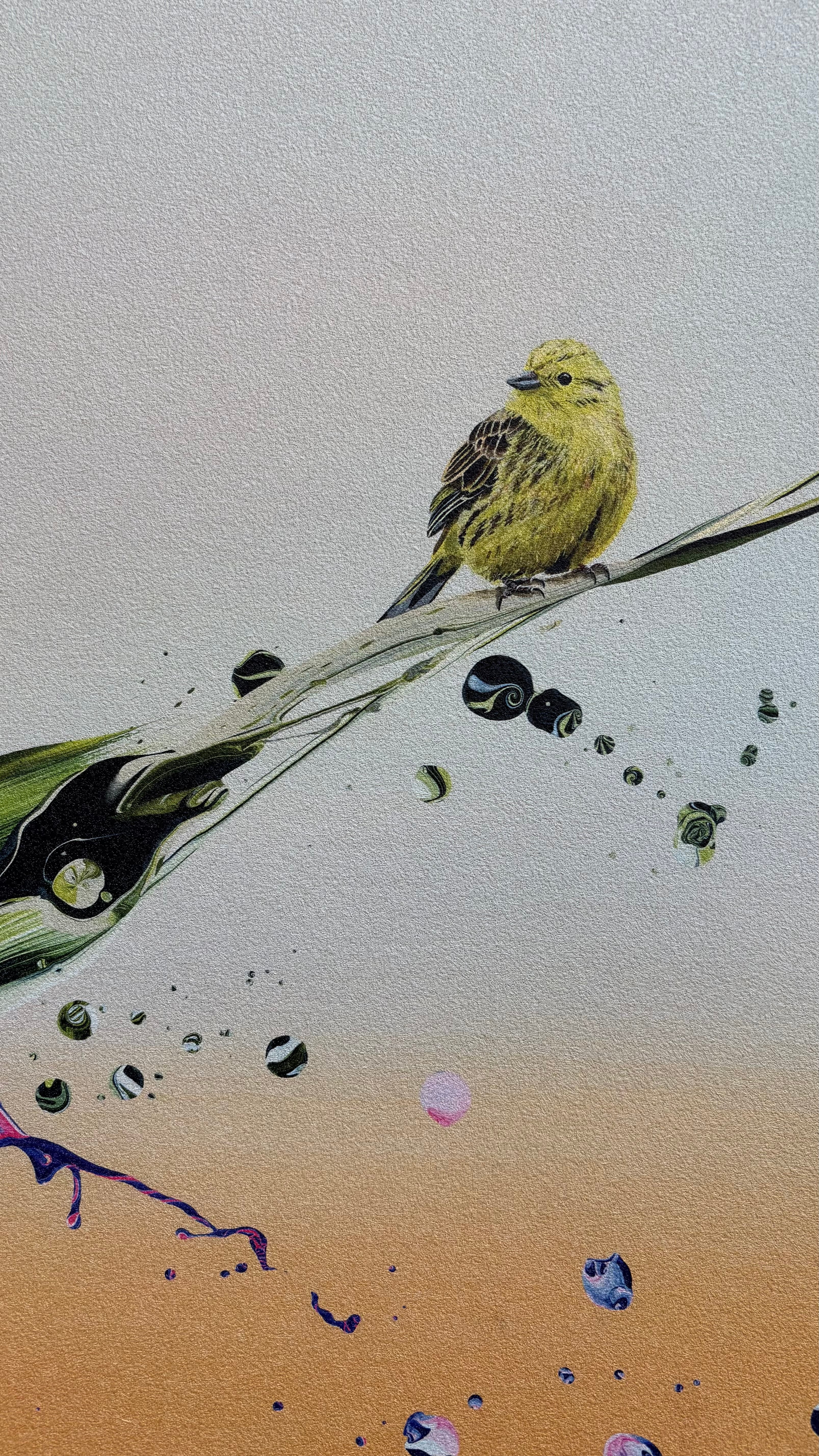 Mellow Yellow 2 | Akustikprint