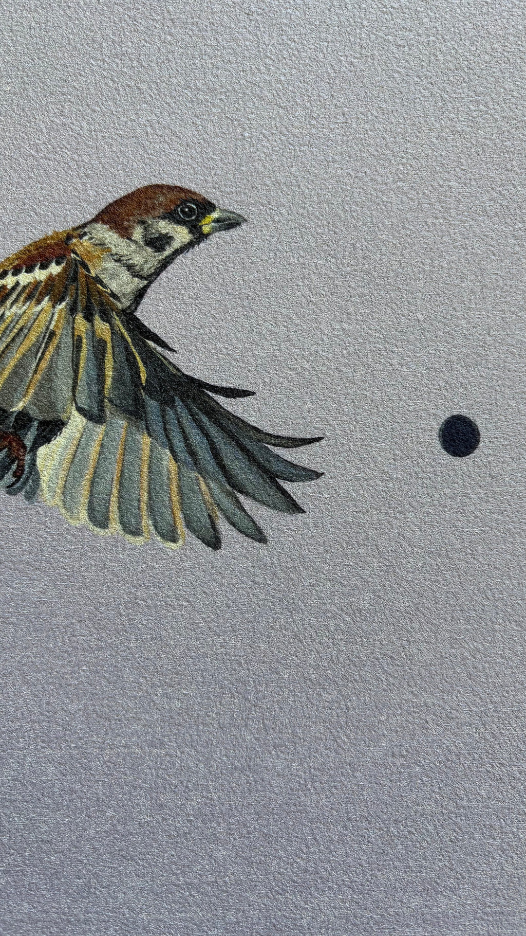Feel like Flying | Akustikprint