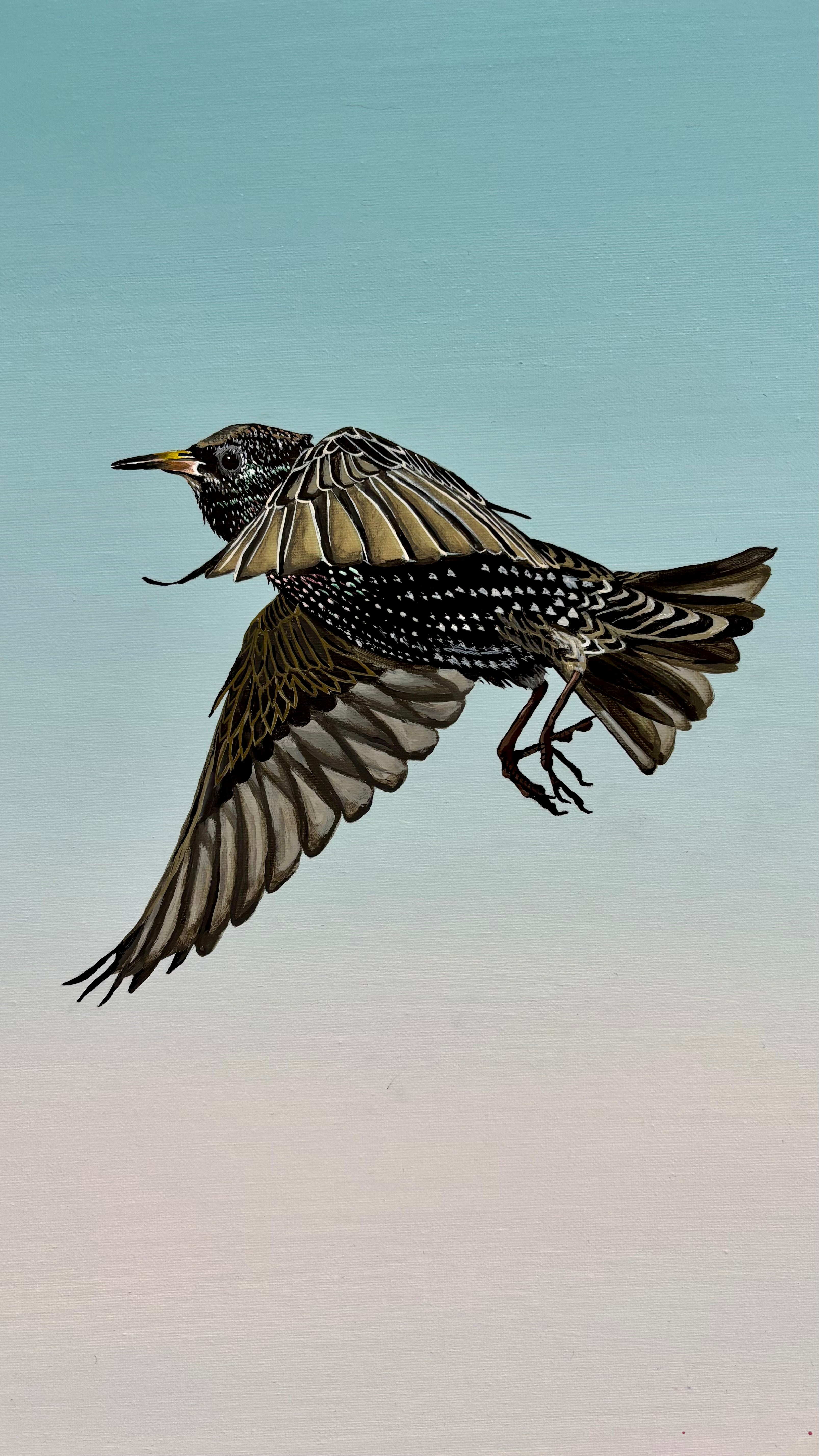 Dark Skies Don’t Scare Me