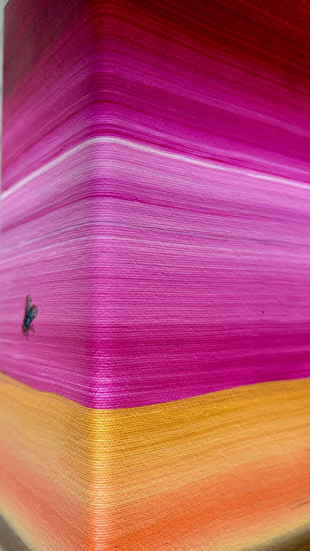 Stripe 1