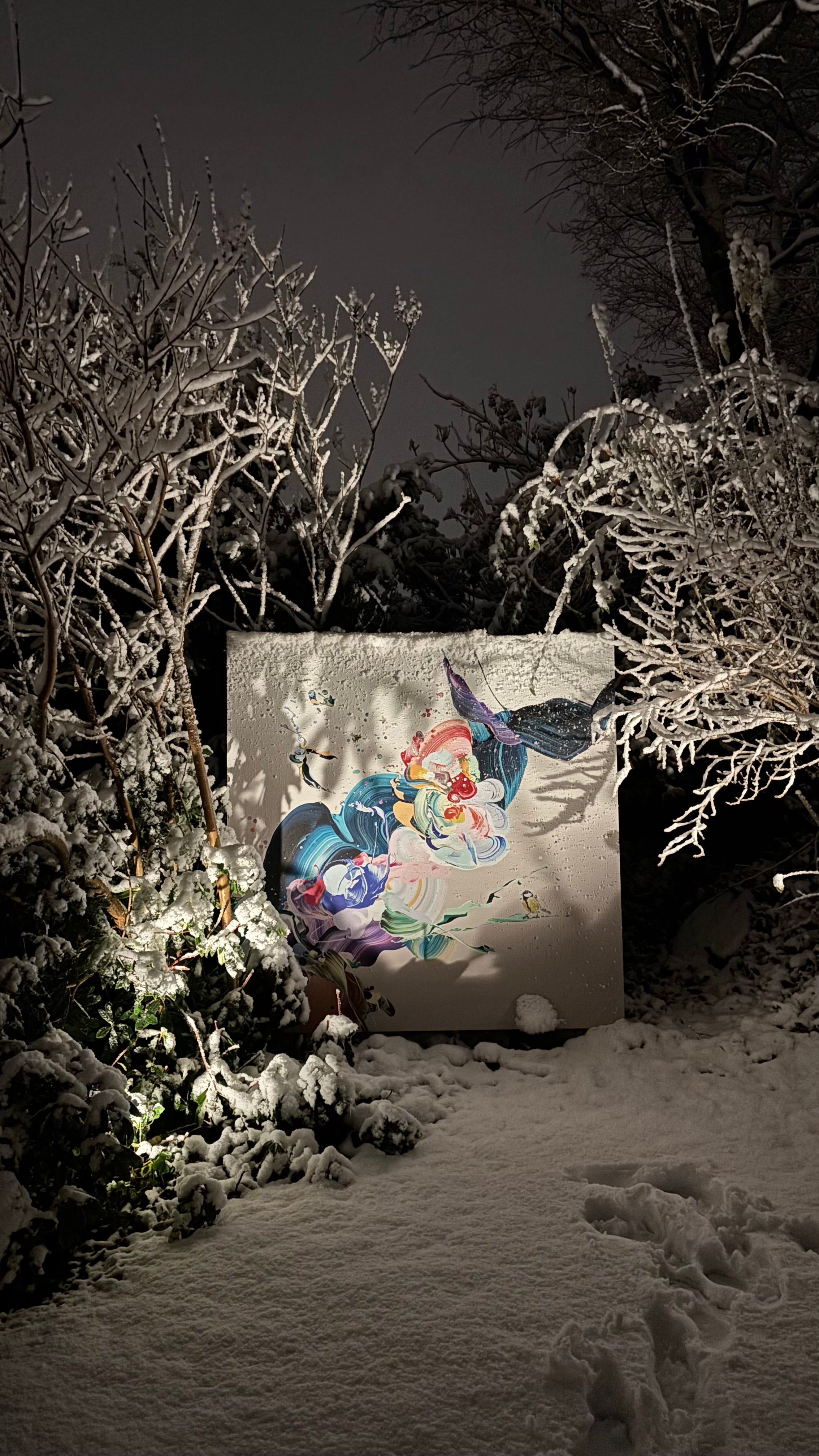 Into the Wild 2 | Aluprint