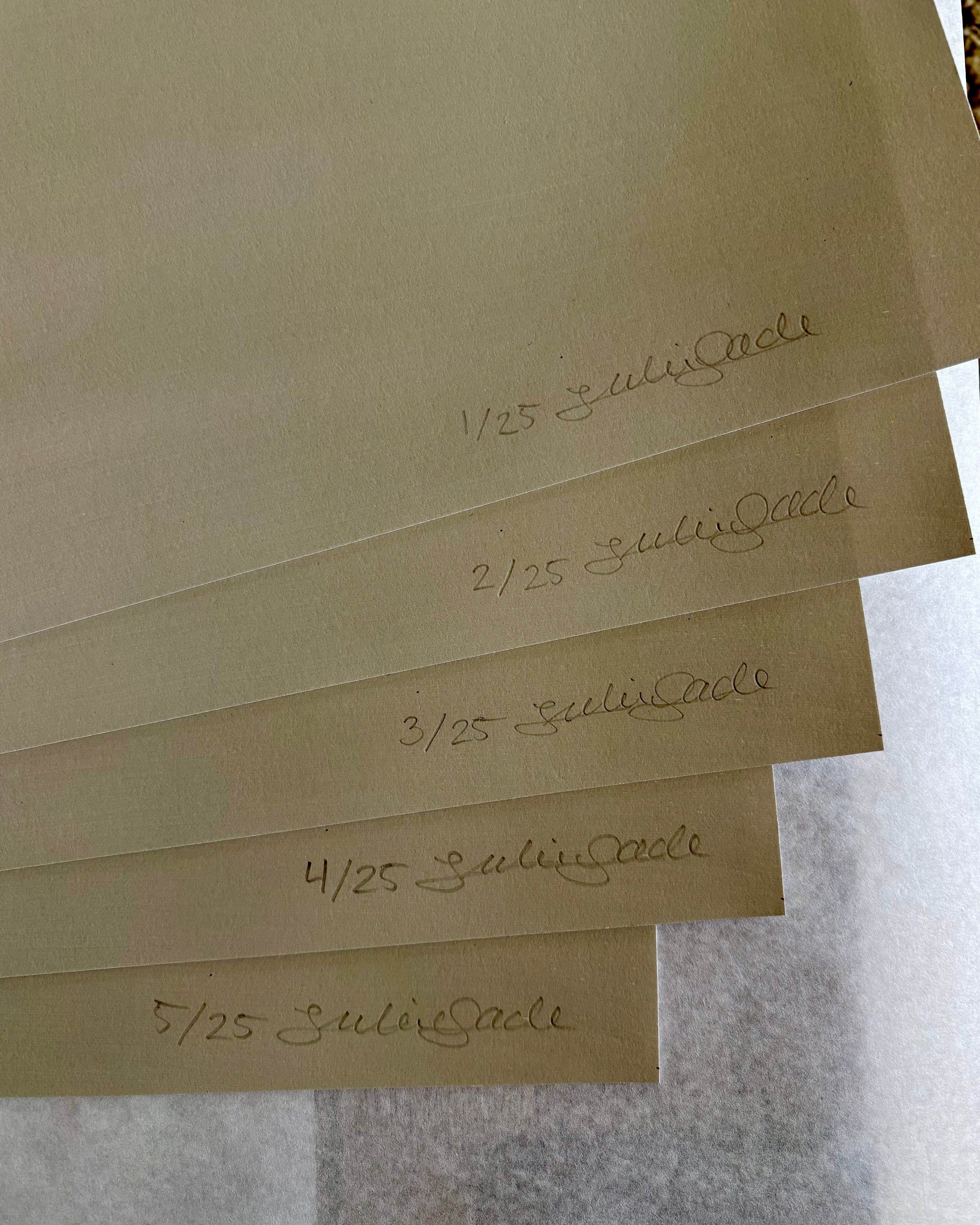 Into the Wild 2 | Paper print