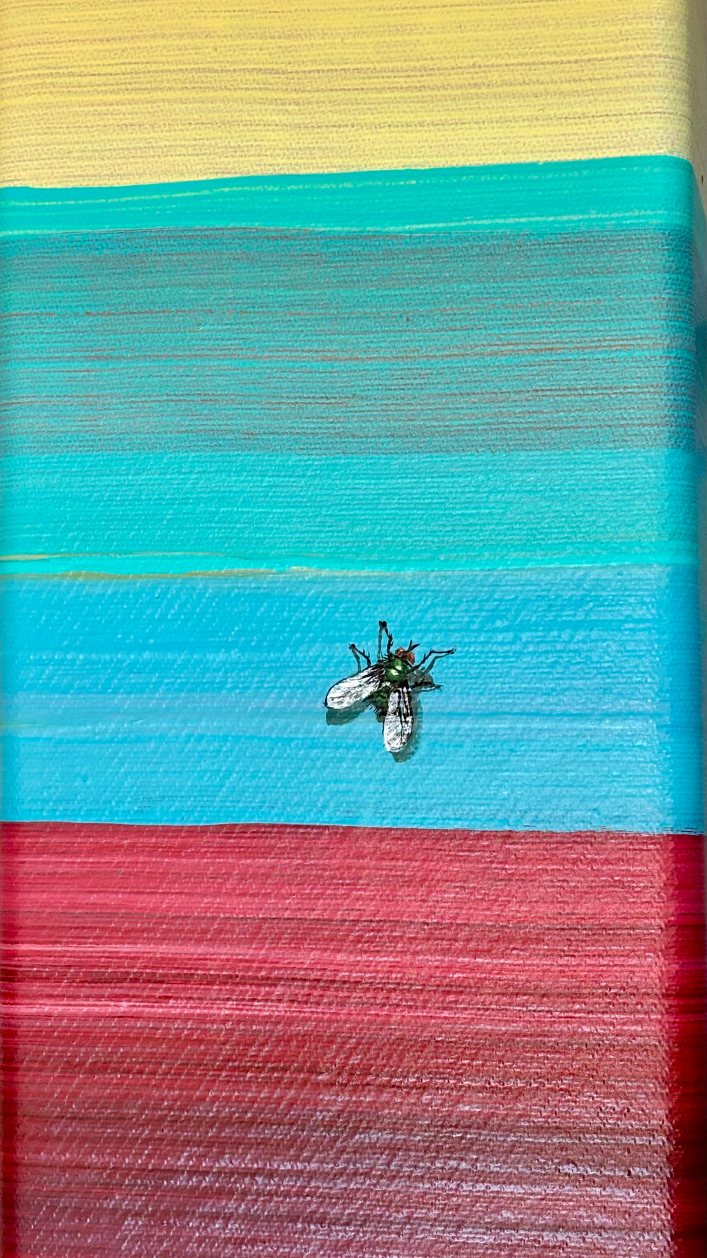 Stripe 5